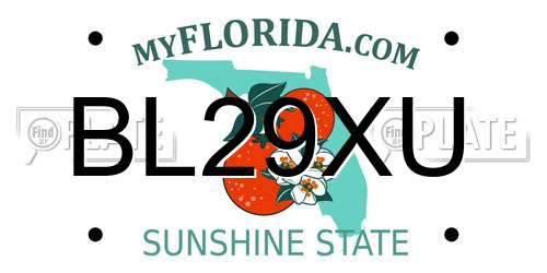 BL29XU Florida License Plate