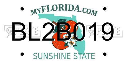 BL2B019 Florida License Plate