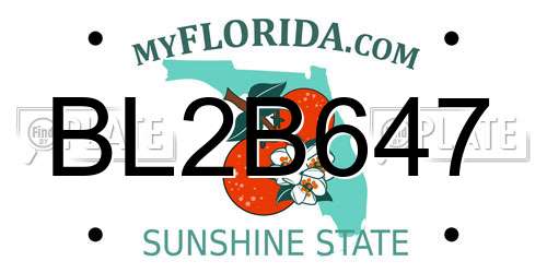 BL2B647 Florida License Plate