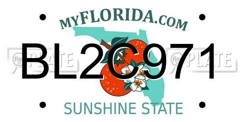 BL2C971 Florida License Plate