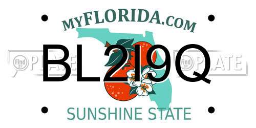 BL2I9Q Florida License Plate