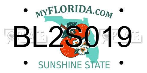 BL2S019 Florida License Plate