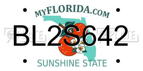 BL2S642 Florida License Plate