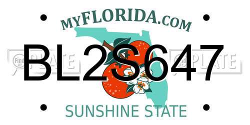 BL2S647 Florida License Plate