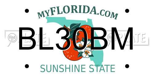 BL30BM Florida License Plate