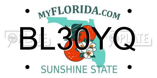 BL30YQ Florida License Plate
