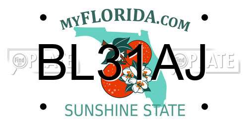 BL31AJ Florida License Plate
