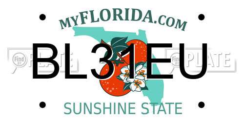 BL31EU Florida License Plate
