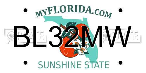 BL32MW Florida License Plate