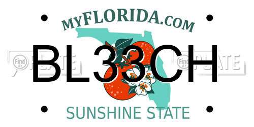 BL33CH Florida License Plate