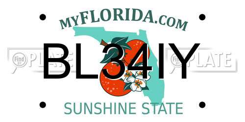 BL34IY Florida License Plate