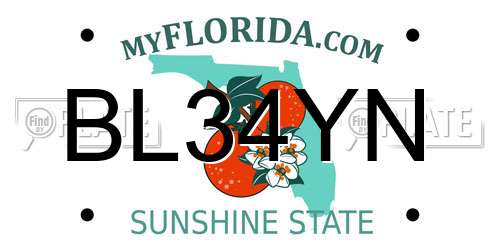 BL34YN Florida License Plate