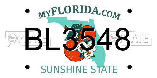 BL3548 Florida License Plate