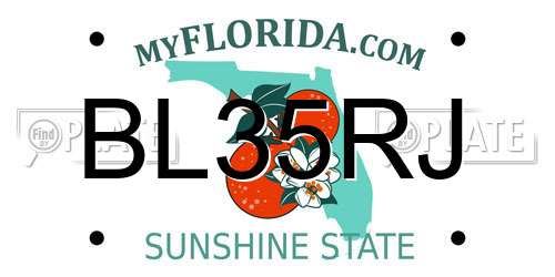 BL35RJ Florida License Plate