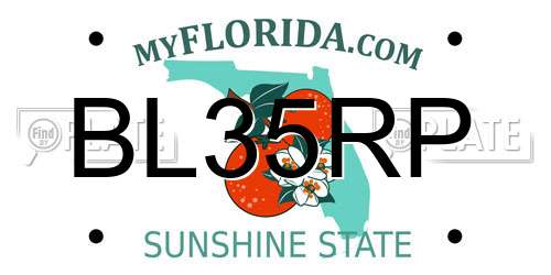 BL35RP Florida License Plate
