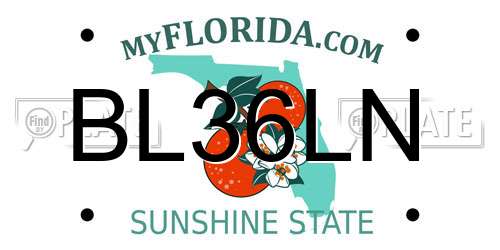 BL36LN Florida License Plate