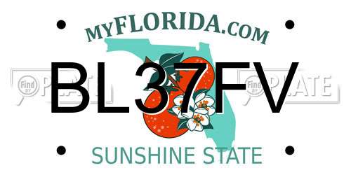 BL37FV Florida License Plate