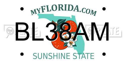 BL38AM Florida License Plate