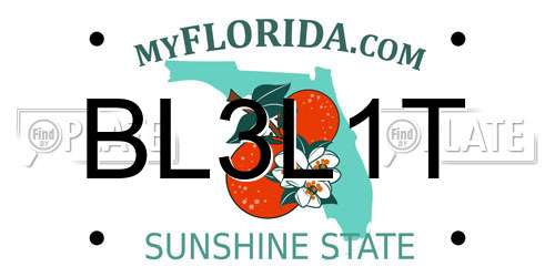 BL3L1T Florida License Plate