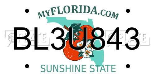 BL3U843 Florida License Plate