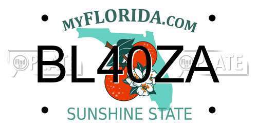 BL40ZA Florida License Plate
