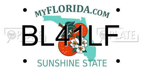 BL41LF Florida License Plate