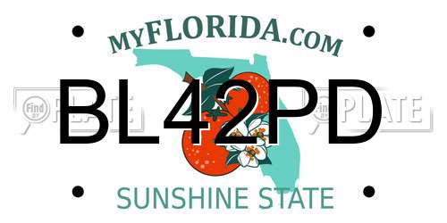 BL42PD Florida License Plate
