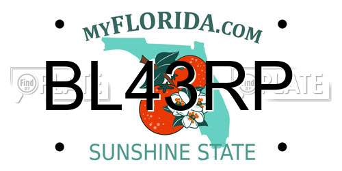 BL43RP Florida License Plate