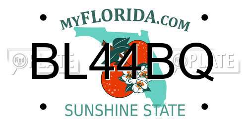 BL44BQ Florida License Plate