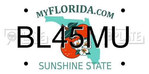 BL45MU Florida License Plate