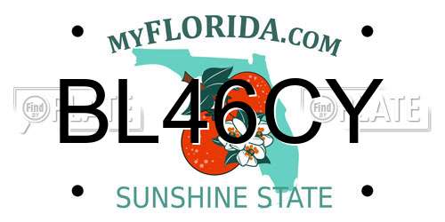 BL46CY Florida License Plate