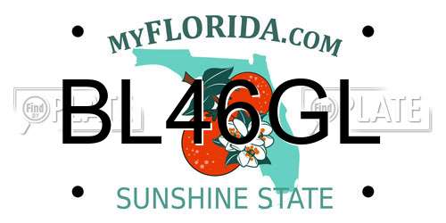 BL46GL Florida License Plate