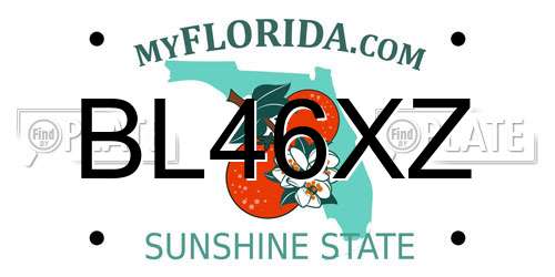BL46XZ Florida License Plate