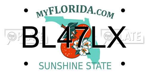 BL47LX Florida License Plate