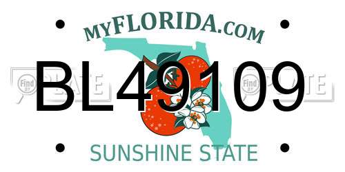 BL49109 Florida License Plate