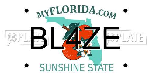BL4ZE Florida License Plate