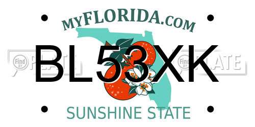 BL53XK Florida License Plate