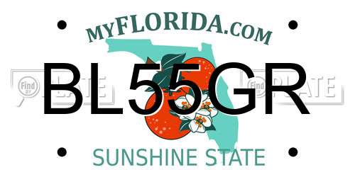 BL55GR Florida License Plate