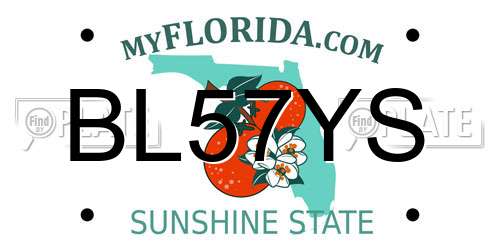 BL57YS Florida License Plate