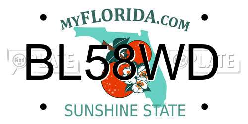 BL58WD Florida License Plate