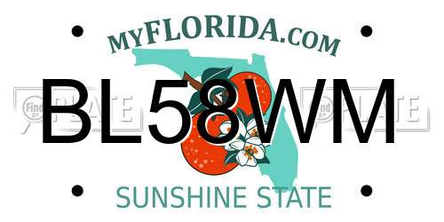 BL58WM Florida License Plate