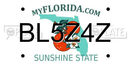 BL5Z4Z Florida License Plate
