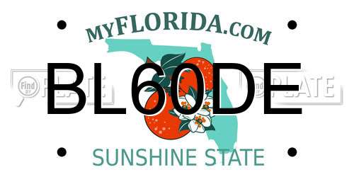 BL60DE Florida License Plate