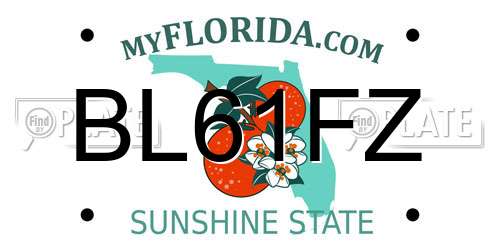BL61FZ Florida License Plate