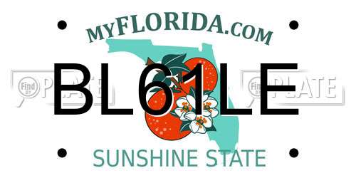 BL61LE Florida License Plate
