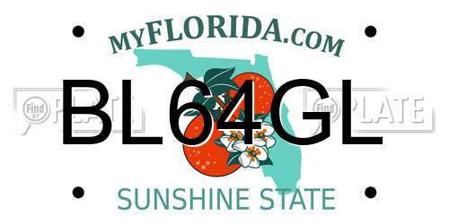 BL64GL Florida License Plate