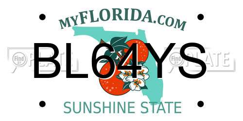 BL64YS Florida License Plate