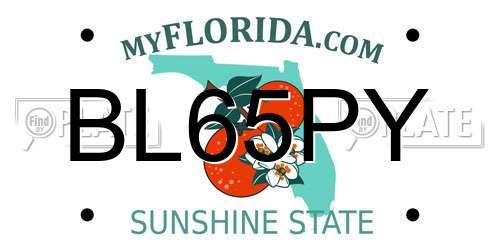 BL65PY Florida License Plate