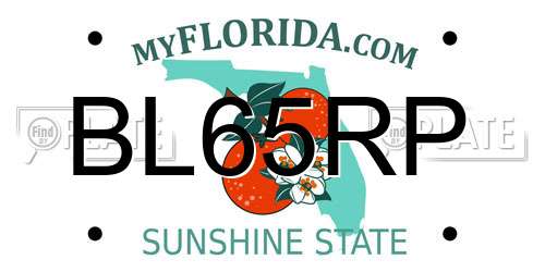 BL65RP Florida License Plate
