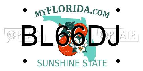 BL66DJ Florida License Plate